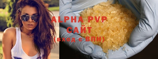 индика Снежинск