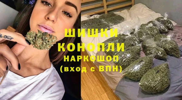 индика Снежинск