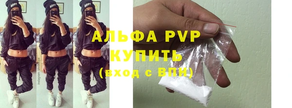 индика Снежинск