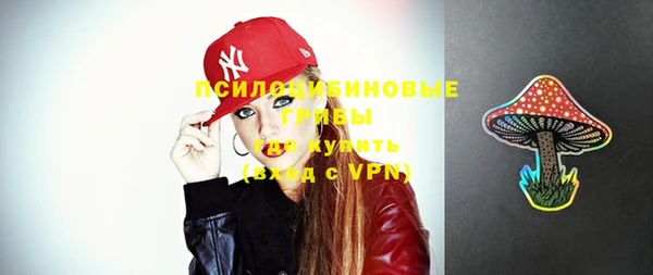 индика Снежинск