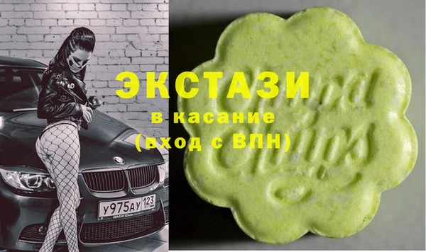 индика Снежинск