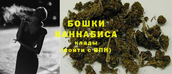 мдпв Володарск