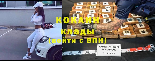 индика Снежинск